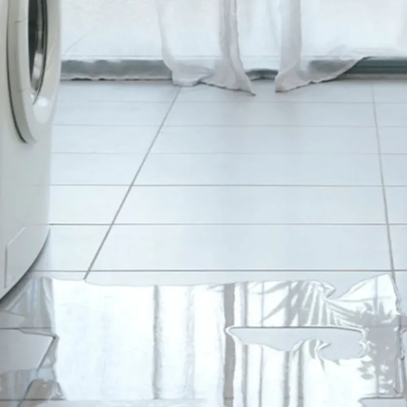 Appliance Leak Cleanup in Fort Loramie, OH