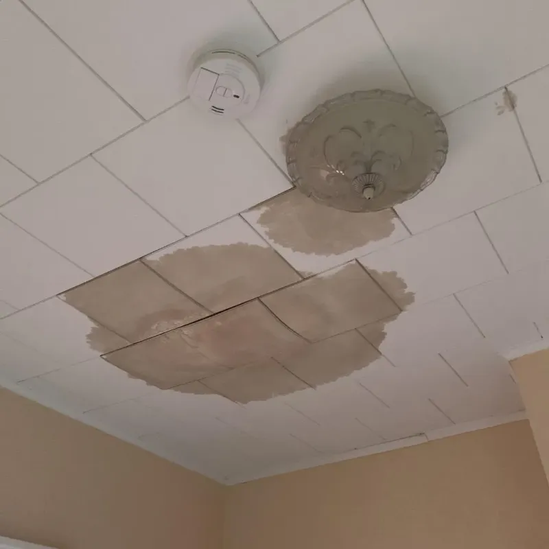 Ceiling Water Damage Repair in Fort Loramie, OH