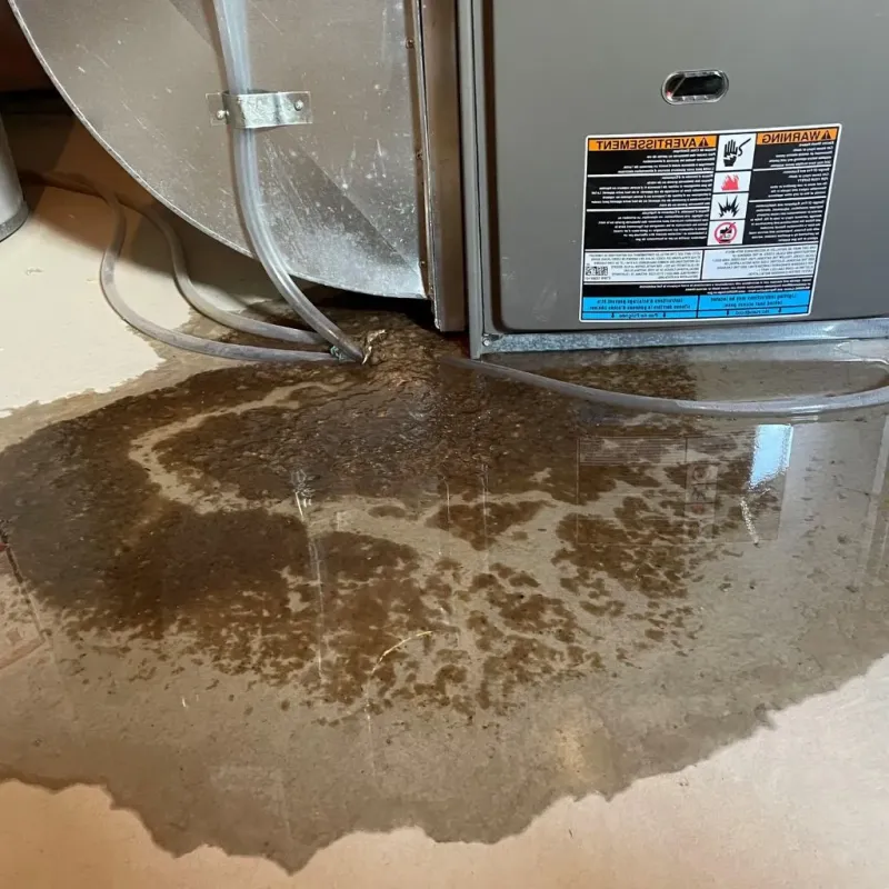 Pipe Burst and Leak Restoration in Fort Loramie, OH