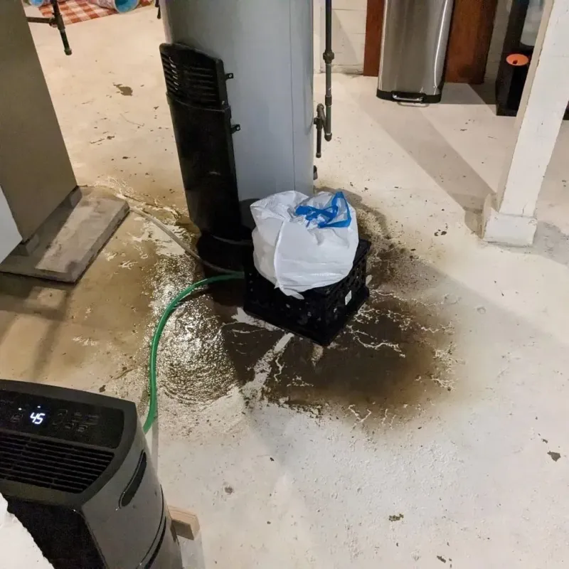 Sewage Backup Cleanup Service in Fort Loramie, OH